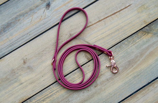 Single Color Biothane Dog Leash