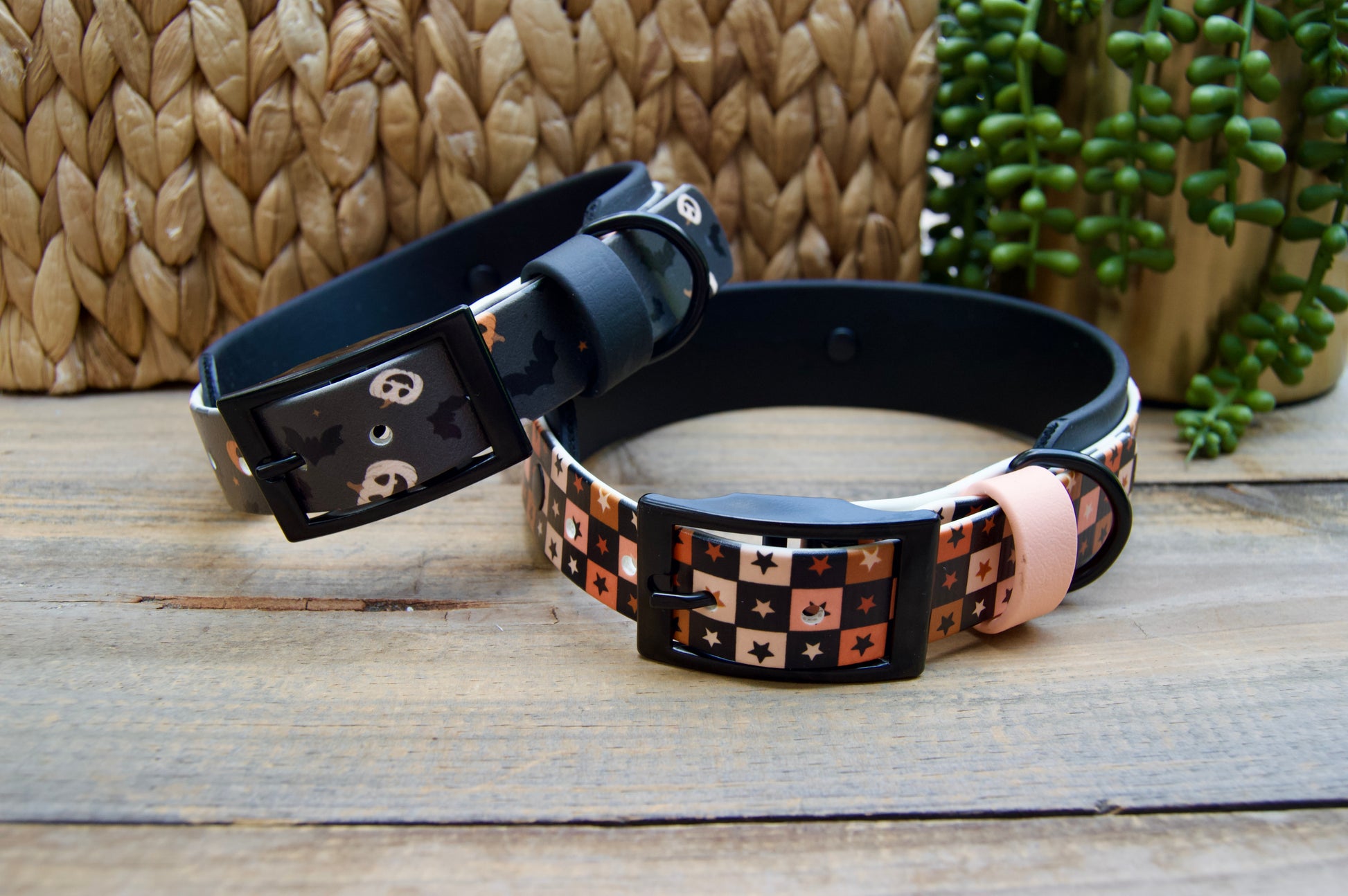 Two patterned dog collars with black buckles resting on a wooden surface. One collar has a black background with white jack o lanterns and bat motifs, and the other has a black, orange, and peach checkered pattern with a black buckle.