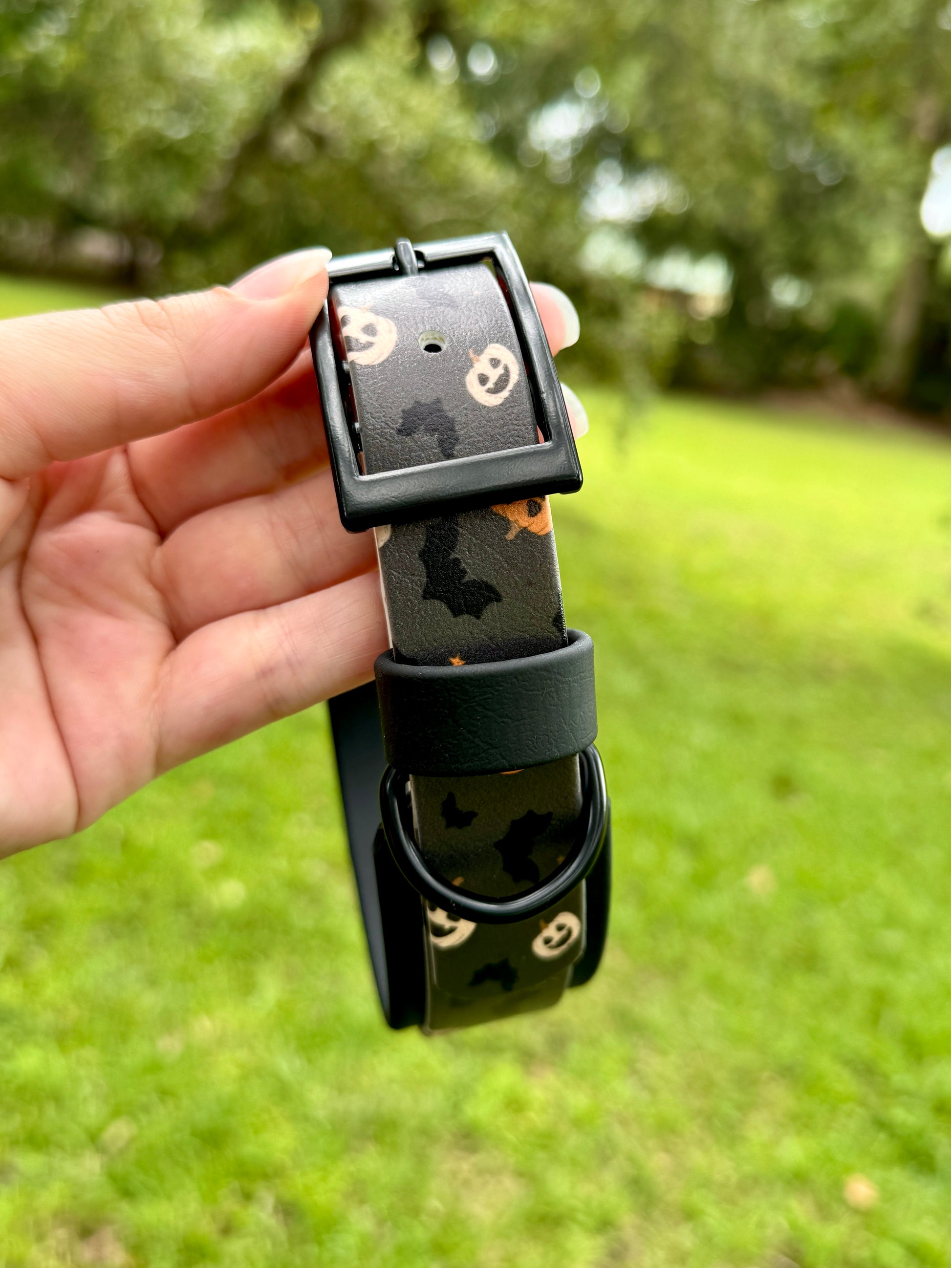 Black dog collar with jack o lantern face patterns held by a hand against a blurred green outdoor background