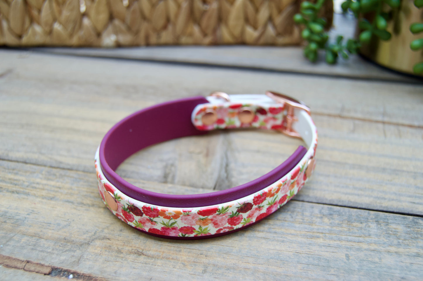 raspberries patterned dog collar with burgundy accent on a wooden surface
