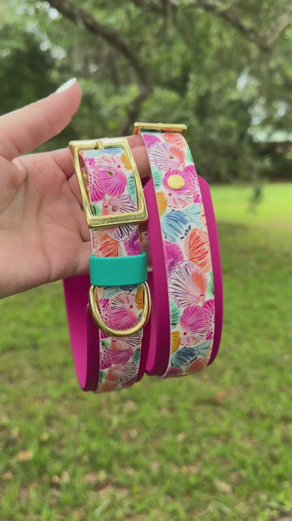 Seashells: Printed Double Layer Biothane Dog Collar