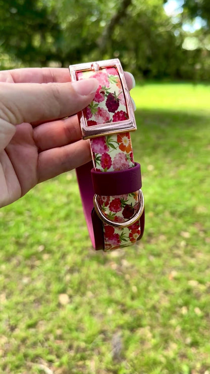 Raspberries: Printed Double Layer Biothane Dog Collar