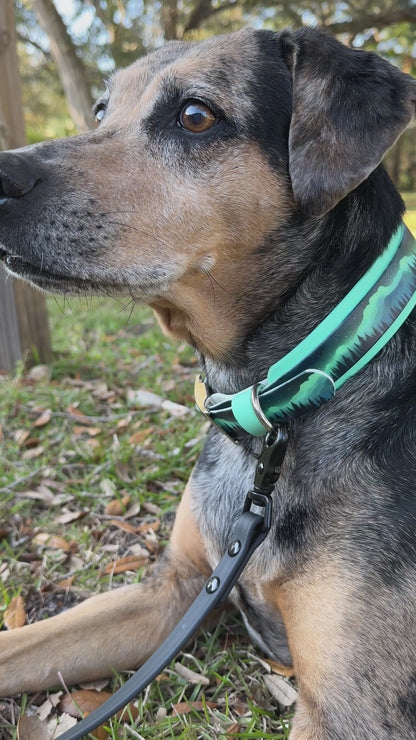 Northern Lights: Printed Double Layer Biothane Dog Collar