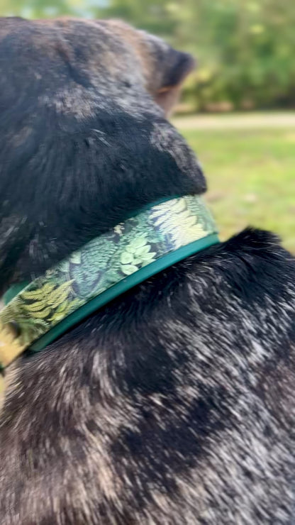 Fern: Printed Double Layer Biothane Dog Collar