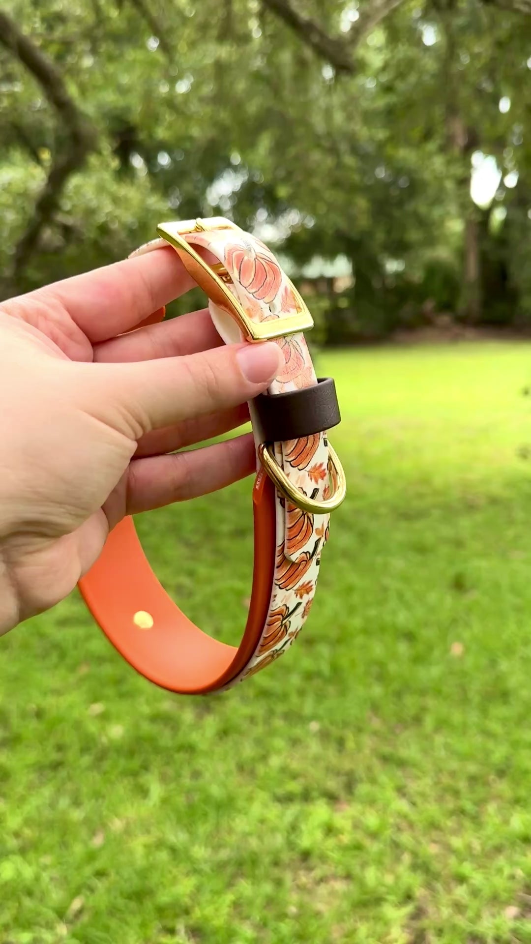 Video showing all views of the pumpkins collar