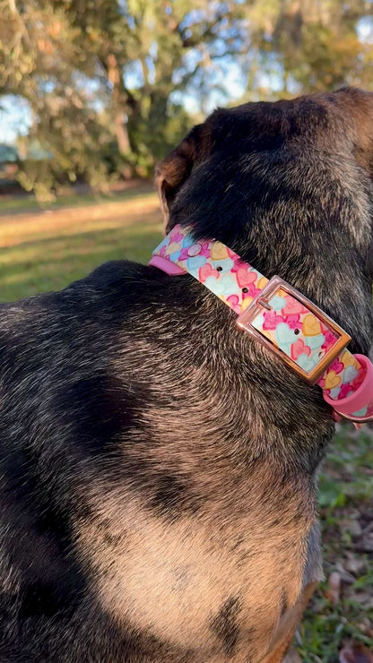 Conversation Heart: Printed Double Layer Biothane Dog Collar