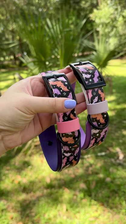 Purple Bats: Printed Double Layer Biothane Dog Collar
