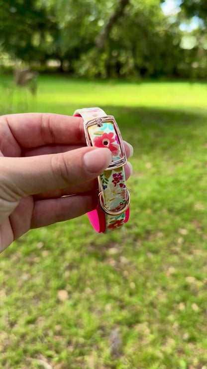 Floral: Mini Printed Double Layer Biothane Dog Collar