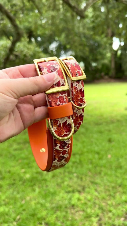 Fall Leaves: Mini Printed Double Layer Biothane Dog Collar