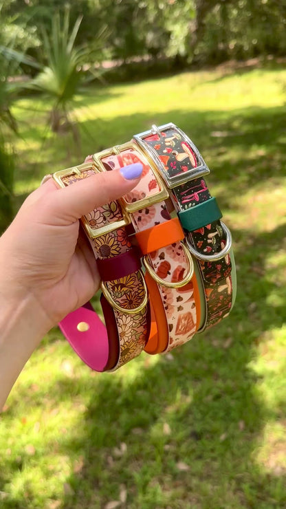 Pie: Printed Double Layer Biothane Dog Collar
