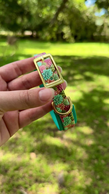 Succulent: Mini Printed Double Layer Biothane Dog Collar