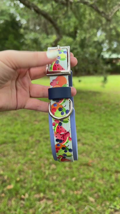 Fruit Salad: Printed Double Layer Biothane Dog Collar