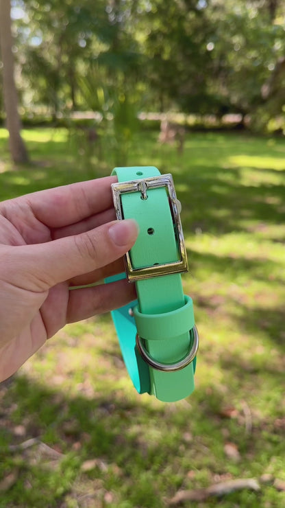 Sport Handle Double Layer Biothane Dog Collar