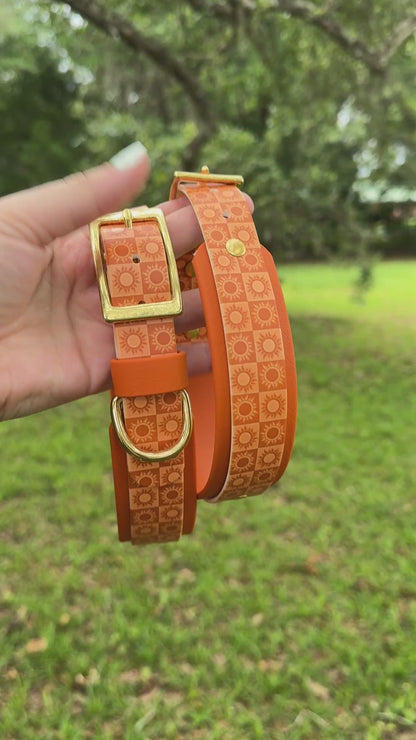 Sun: Printed Double Layer Biothane Dog Collar