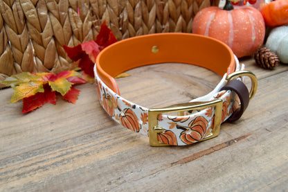 Dog collar with pumpkins  pattern on a wooden surface with pumpkins and leaves decoration