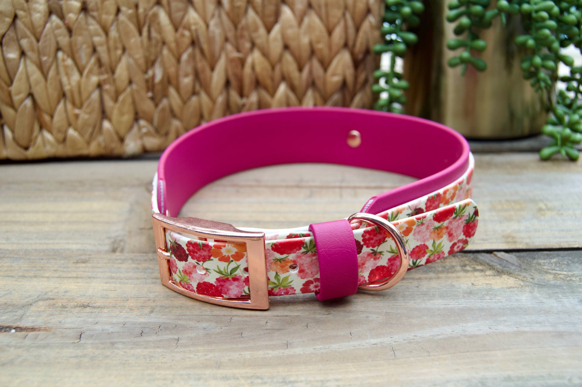 raspberry patterned dog collar with magenta accents on a wooden surface
