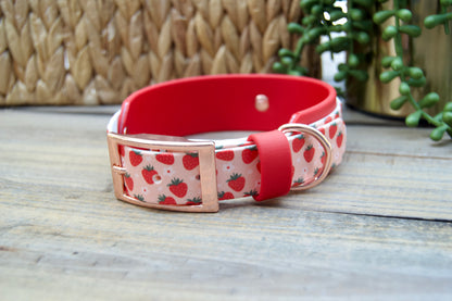 Strawberry: Printed Double Layer Biothane Dog Collar